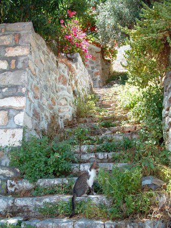 ギリシャ_エーゲ海イドラ島の路地裏