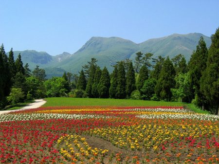 花畑とくじゅう連山