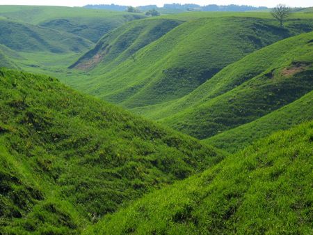 阿蘇外輪山_草原の丘