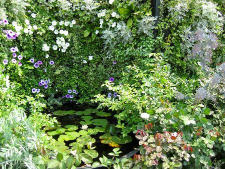 ハウステンボス_7人の美しき薔薇の庭