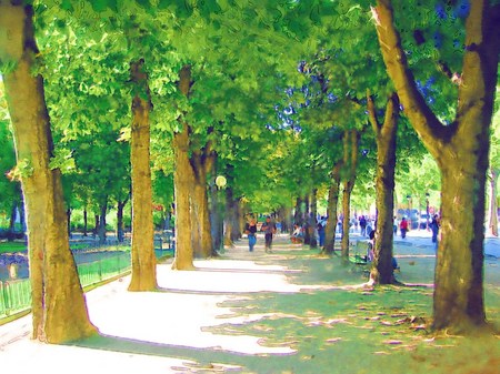 20070829_155622_2t_suisai2_wp.jpg