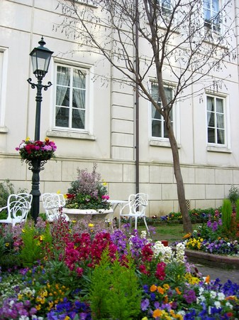 20080208_155426_1_wp.jpg