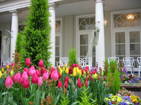 20080209_091854_1_wp.jpg