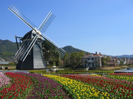 20080310_112823_1t_wp.jpg