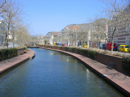 20080310_125630_1_wp.jpg