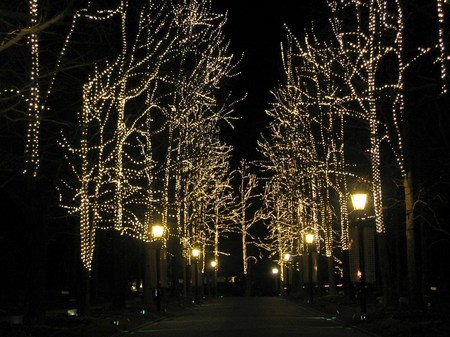 20080310_200530_1t_wp.jpg