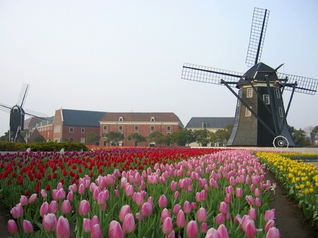 20080311_074531_1t_wp.jpg