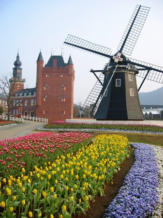 20080311_074716_1_wp.jpg