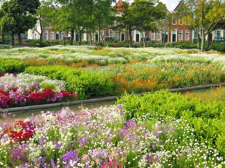 ハウステンボス_アートガーデンの花畑