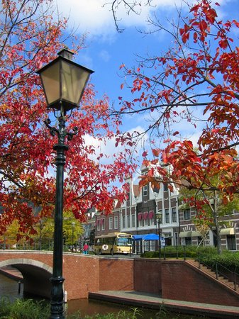 ハウステンボス_アムステル川沿いの紅葉