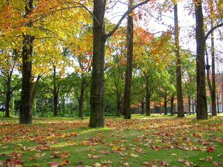パレスハウステンボス前庭の紅葉
