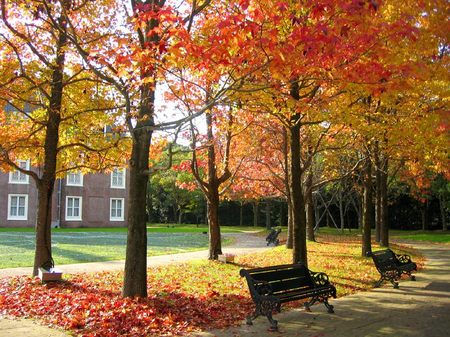 パレスハウステンボス前庭の紅葉