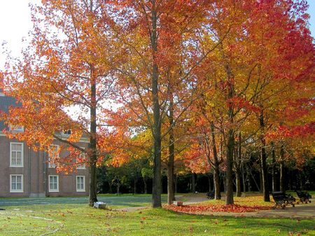 パレスハウステンボス前庭の紅葉