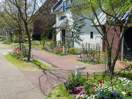 ハウステンボス_コテージの前に咲く花々