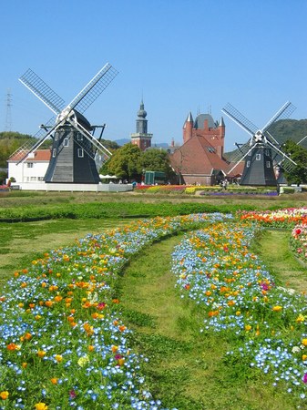 ハウステンボス_バスチオンの花畑