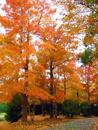 ハウステンボス_ブルーケレンの紅葉(油絵風)
